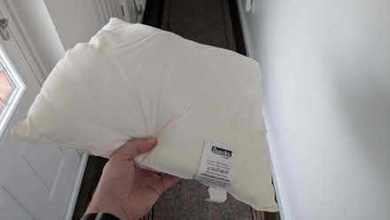 Photo of free Cushion Pads (Chesham HP5) #1