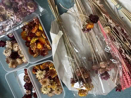 Photo of free Dried Flowers (Wokingham RG41) #1