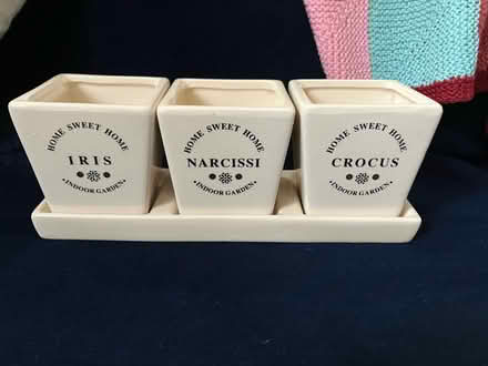 Photo of free Three small indoor plant pots (Woolton L25) #1