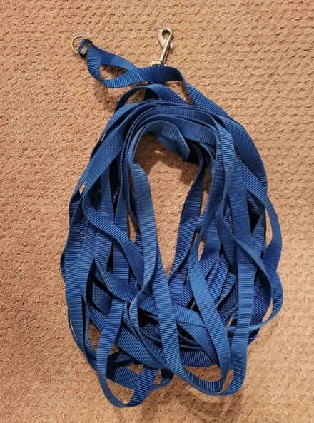 Photo of free Dog supplies (Hill East) #1