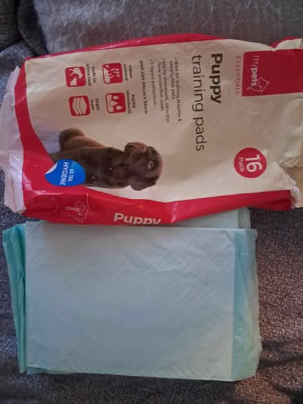 Photo of free Puppy training pads (8 pieces) (Weybridge KT13) #1