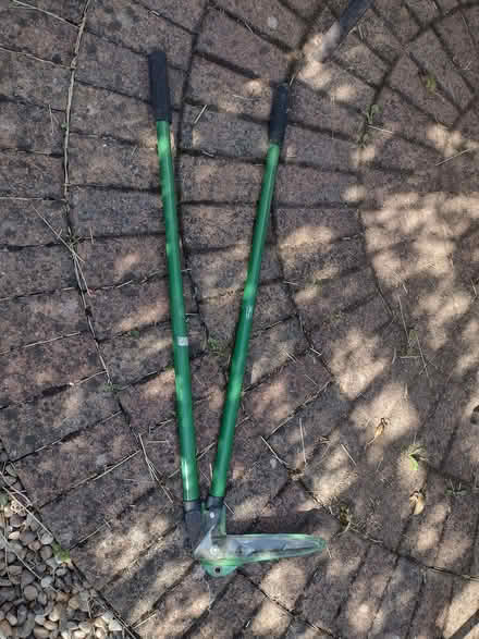 Photo of free Lawn edging shears (Phippsville) #1