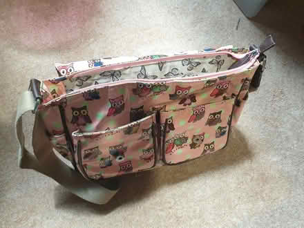 Photo of free Pink owl satchel (Parkstone, Poole, BH14) #3