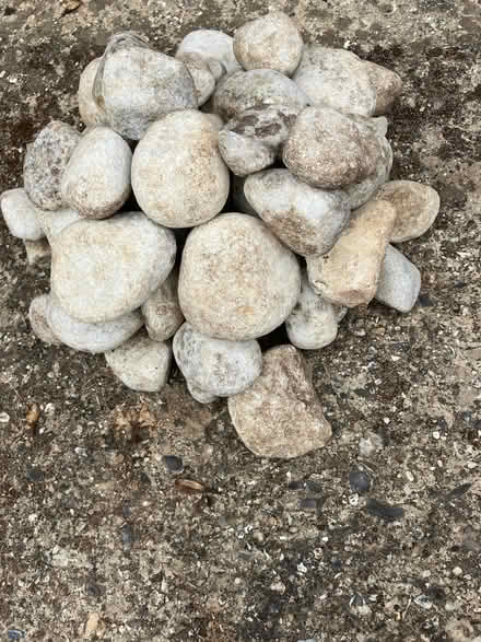 Photo of free White cobbles (Emmbrook RG41) #1