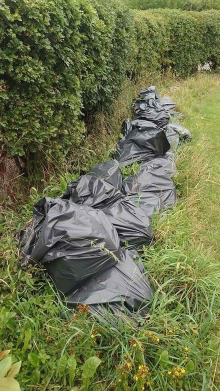 Photo of free Bagged rubble (Redhill) #1