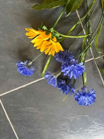 Photo of free Flowers (Bear flat) #3