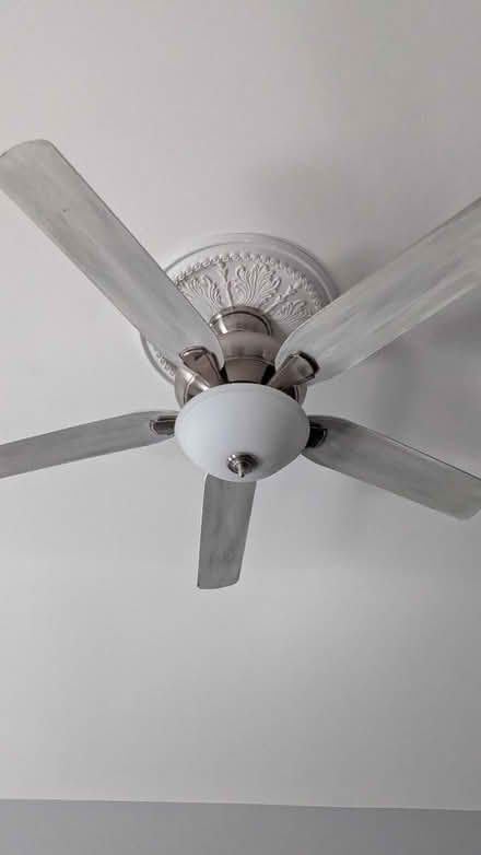 Photo of free 52" Hampton Bay ceiling fan (Raritan Township/Ringoes) #1