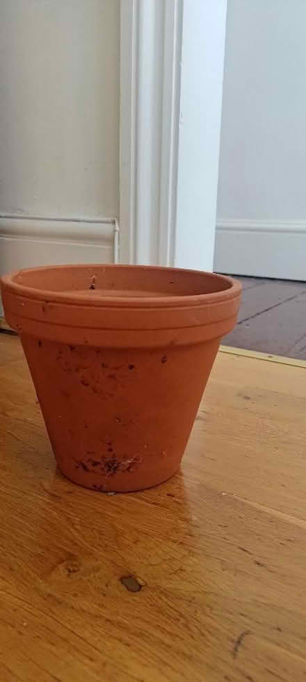 Photo of free Plant pots (Westbourne Park W11) #3
