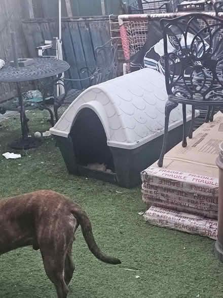 Photo of free Dog kennel (Shiremoor NE27) #3