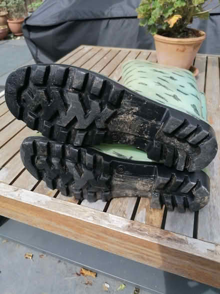 Photo of free Size 6 Wellies (South Tonbridge TN9) #3