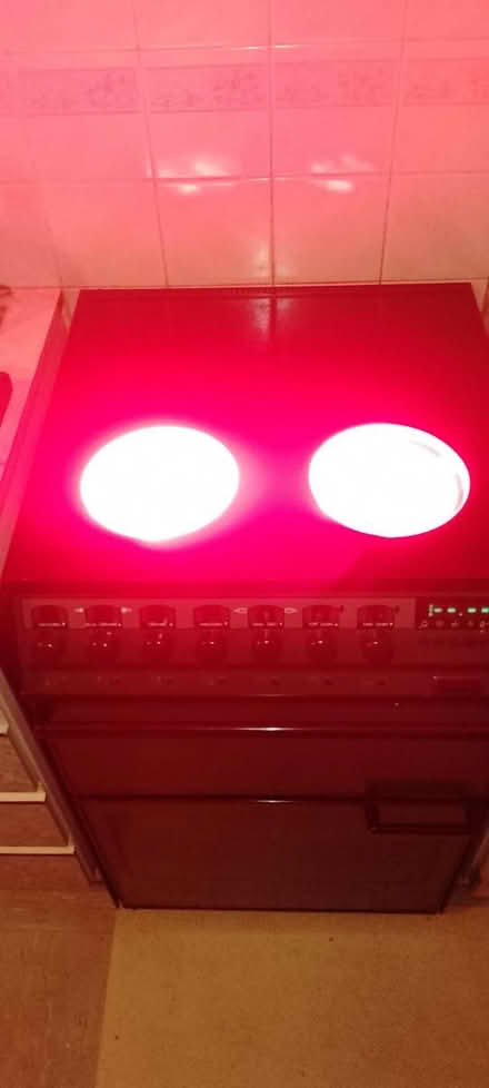 Photo of free Electric Oven (SW10 0NR) #3