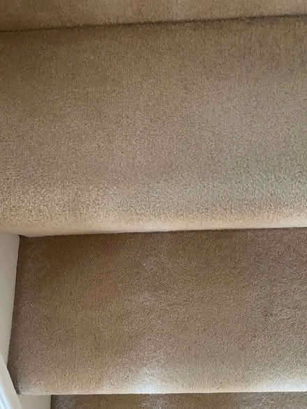 Photo of free Beige Carpet Wool (King's College Playing Fields HA4) #2