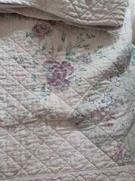 Photo of free Quilt (Lightwater GU18) #3