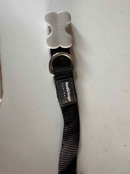 Photo of free Red Dingo medium dog collar - black (OX16 Cherwell heights) #1