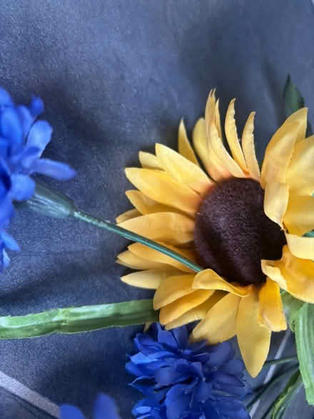 Photo of free Flowers (Bear flat) #4