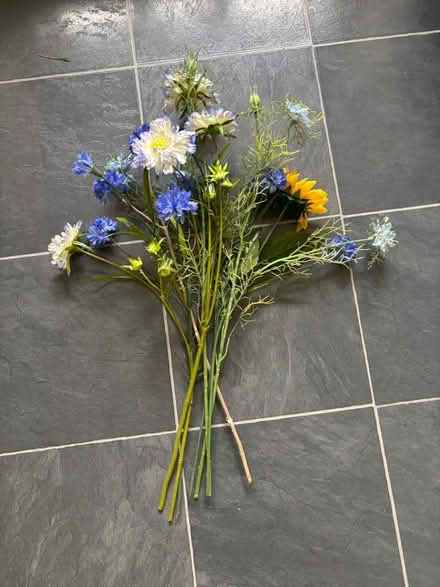 Photo of free Flowers (Bear flat) #1