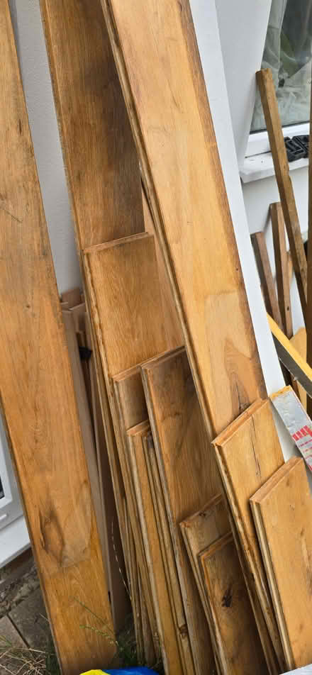 Photo of free Timber clearout. (Sutton SM1) #3