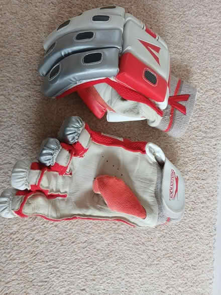 Photo of free Youth cricket gloves (Eastleigh SO50) #1
