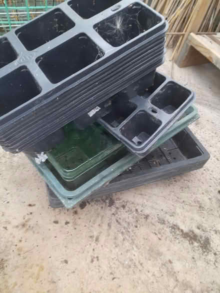 Photo of free Plant seed trays (Brundall) #2
