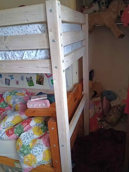 Photo of free Pine Loft Bed (CT2) #2