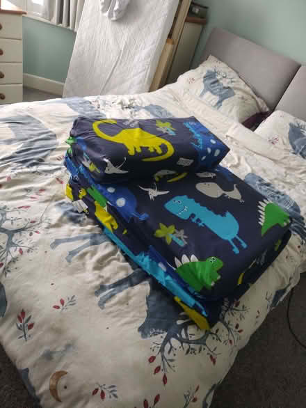 Photo of free Kids Z-Bed (Kinson Village Green Stocks BH10) #1