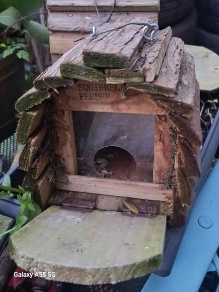 Photo of free Squirrel or bird house (Westgate LA4) #2