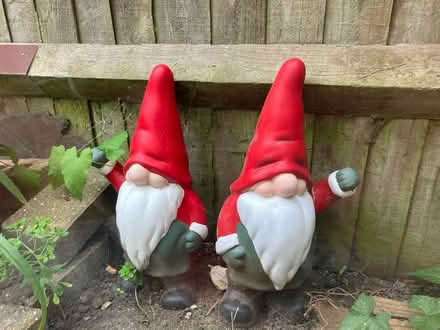 Photo of free Pair of garden gnomes (Hampton Hill) #1