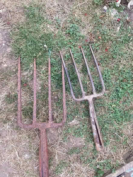 Photo of free Garden Forks. Used. NEED HANDLES (selsey) #1