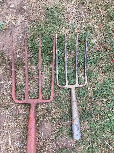 Photo of free Garden Forks. Used. NEED HANDLES (selsey) #2