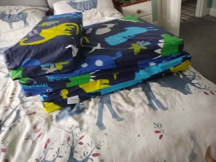 Photo of free Kids Z-Bed (Kinson Village Green Stocks BH10) #2