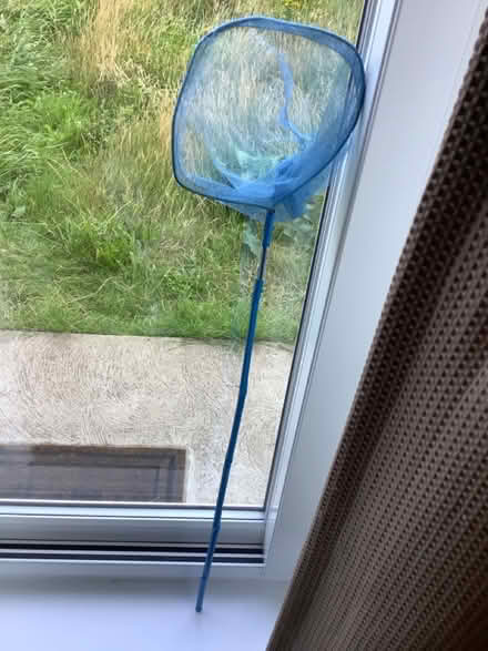 Photo of free Blue Fishing Net, long pole (Cottingham HU16) #1