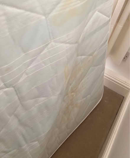Photo of free Double mattress and bed frame (Rustington BN16) #2