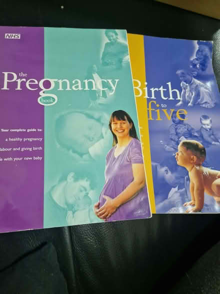 Photo of free Pregnancy & Birth to five book. (Burwell OX28) #1