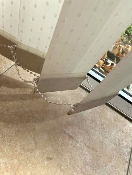 Photo of free Office / conservatory blind (BS16) #3