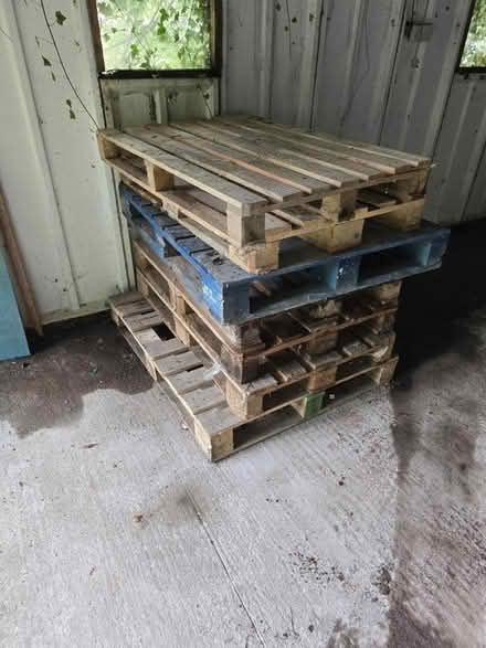Photo of free Pallets (Betws y coed) #1