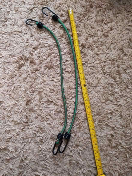 Photo of free 2 x bungies (Freehold LA1) #1
