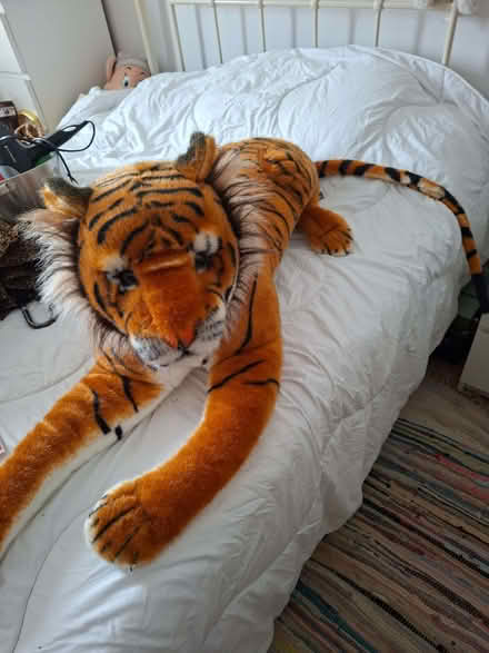 Photo of free Large toy tiger (Tuckswood NR4) #1