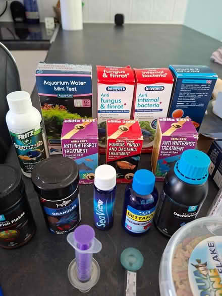 Photo of free Aquarium stuff (Hellesdon, Norwich) #1