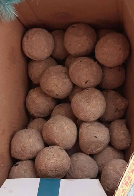 Photo of free 30+ Wild Bird Fat Balls (Sutton in Ashfield NG17) #1