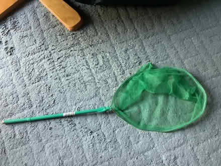 Photo of free Fishing Net - short pole, large net (Cottingham HU16) #1
