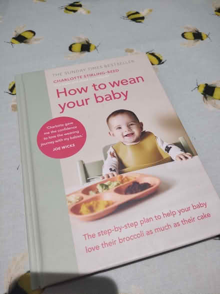 Photo of free Baby food/baby weaning books (Kinson Village Green Stocks BH10) #1