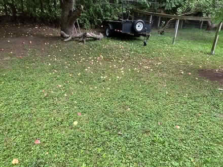Photo of free Hunting Apples (Aylmer Lakeview Terrace) #2