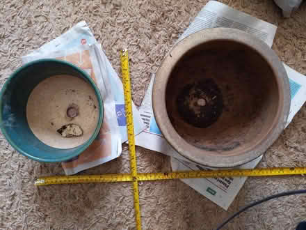 Photo of free Plant pots (Freehold LA1) #1