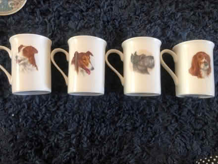 Photo of free Lovely Bone China Cups x 4 (Cheshunt En8) #2