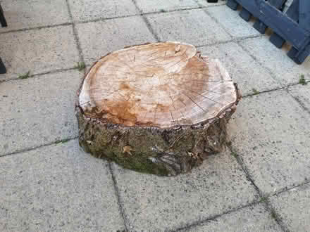 Photo of free Wooden Round (Kiveton Park, S26) #1