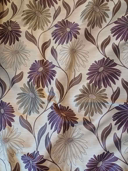 Photo of free Curtains (Steyning BN44) #2