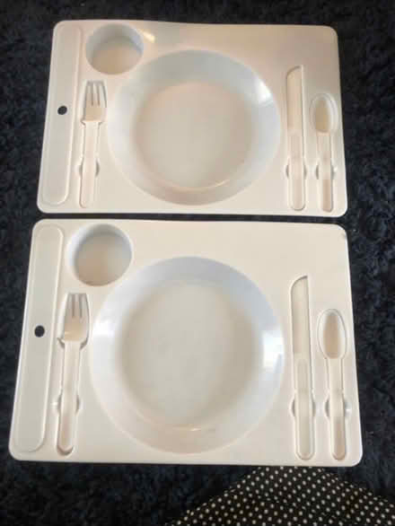 Photo of free Plastic Dinner & Drinks Trays x 2 (Cheshunt En8) #1