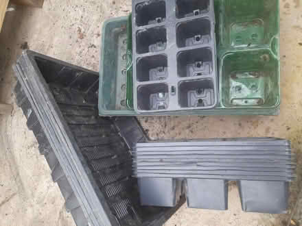 Photo of free Plant seed trays (Brundall) #1