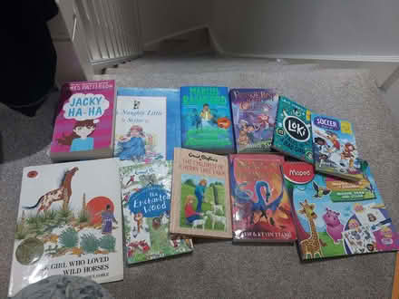 Photo of free Variety of books for varying ages (Hall Green B28) #1
