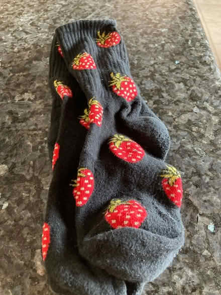 Photo of free Vans Socks (Sunnyvale near Ortega Park) #1
